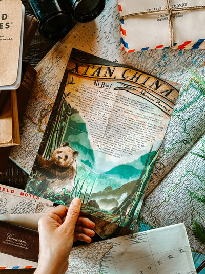 2 Years Of Letters (Free Postage!)