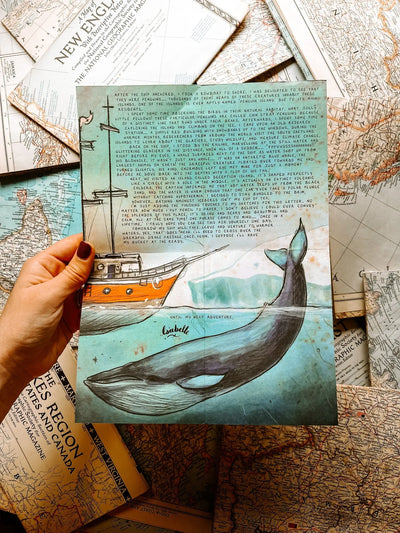 Month To Month Letters From Afar